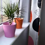 Sedinum - Brama Portowa Apartment *