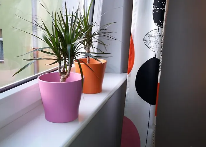 Sedinum - Brama Portowa Apartment *