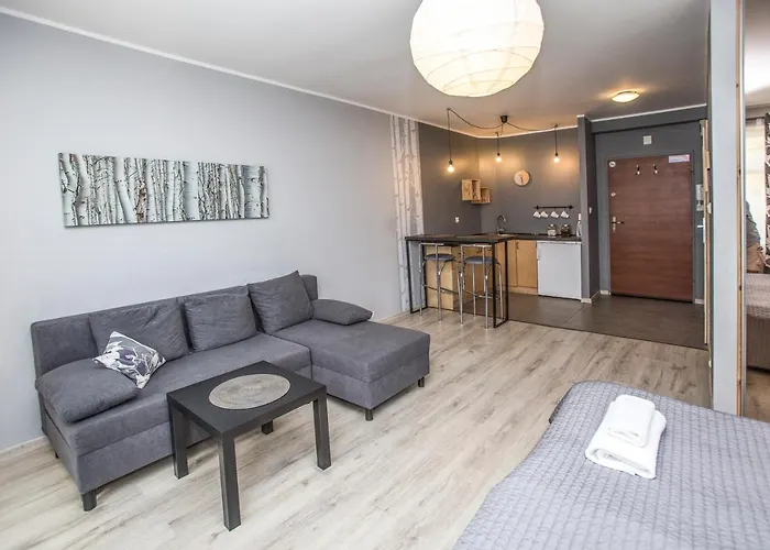 Sedinum - Brama Portowa Apartment